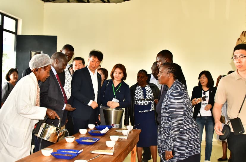 Investor cupping session